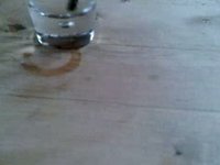Are you taking a photo?