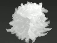 White Poil