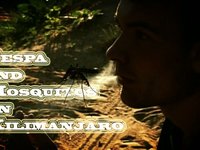 Vespa and Mosquitos on Kilimanjaro