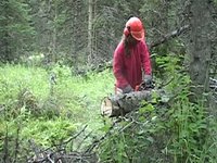 Youth Employment in Parks