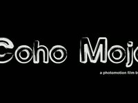 Cojo Mojo