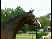 44: Locksley X Rohdiamant