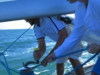 Brisbane Sailing