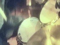 Little Fish "Sweat N Shiver"