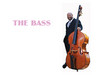 Learn about the Bass 