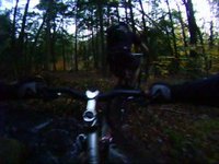 Cherry Run 10-22-09