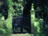 Modern Art
