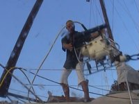 Use Commando II - Short Film