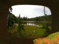 Paradise Meadows