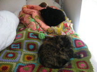 Maggie & Jeep At Their Best