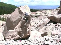 dark canyon 3