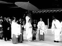The Wedding
