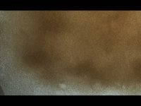Sand Motion