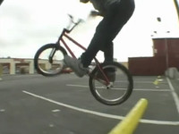 Tree Bicycle Co - Eben Fischer edit