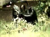Rick Monroe - Honky Tonk Road Trip