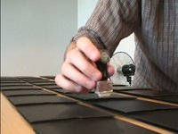Old Canes - Feral Harmonic assembly