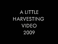 Rancho Gordo 2009 Harvest