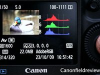 Canon 1D Mark IV High ISO