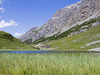 Alta Valtellina-Nature in Alpisella Valley