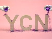YCN Awards projection