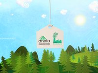 ANEFA 2009