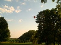 Dogs barking at balloon.