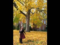 fall dance