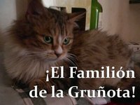 Gatotas #2