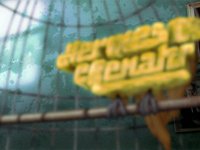 Hermes & Renato - Bird Logo Animation