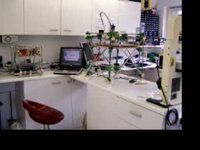 Multiple RepRaps