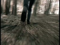 New Show Reel
