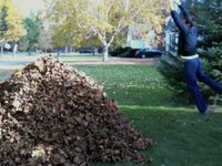 Leaf Jumps