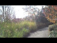 Anatomy of a Walk