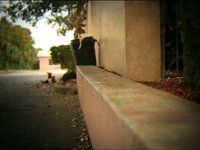Fun Saturday Edit