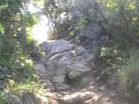 Crash at the Crack