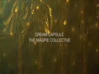 Dream Capsule