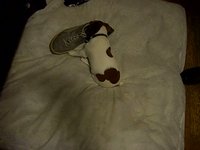 Baxter running around, grabbing stuff...being a puppy