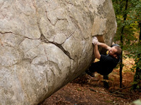 Escalade en forêt de Fontainebleau : "La cicatrice de l'Ohm", "Comme un Animal"