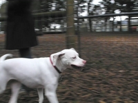 Otis meets Sammie-Penelope