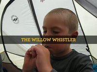 The Willow Whistler