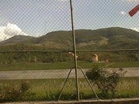 Bruno voando o Extra 35% da H9