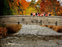 Ancaster Old Mill Wedding | Webster's Falls | Michelle and Jeff