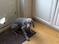 Muddy behaving...