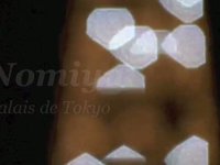 Nomiya - Palais de Tokyo
