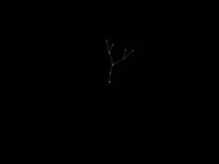 Animating LSystems