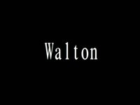 Walton concept work slideshow