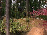 autumn sessions part 2