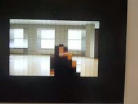 Rafael Lozano Hemmer at Haunch of Venison