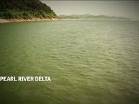 China's Pearl River Delta: the world's factory floor