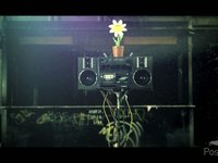 Coca Cola Rave Flowers